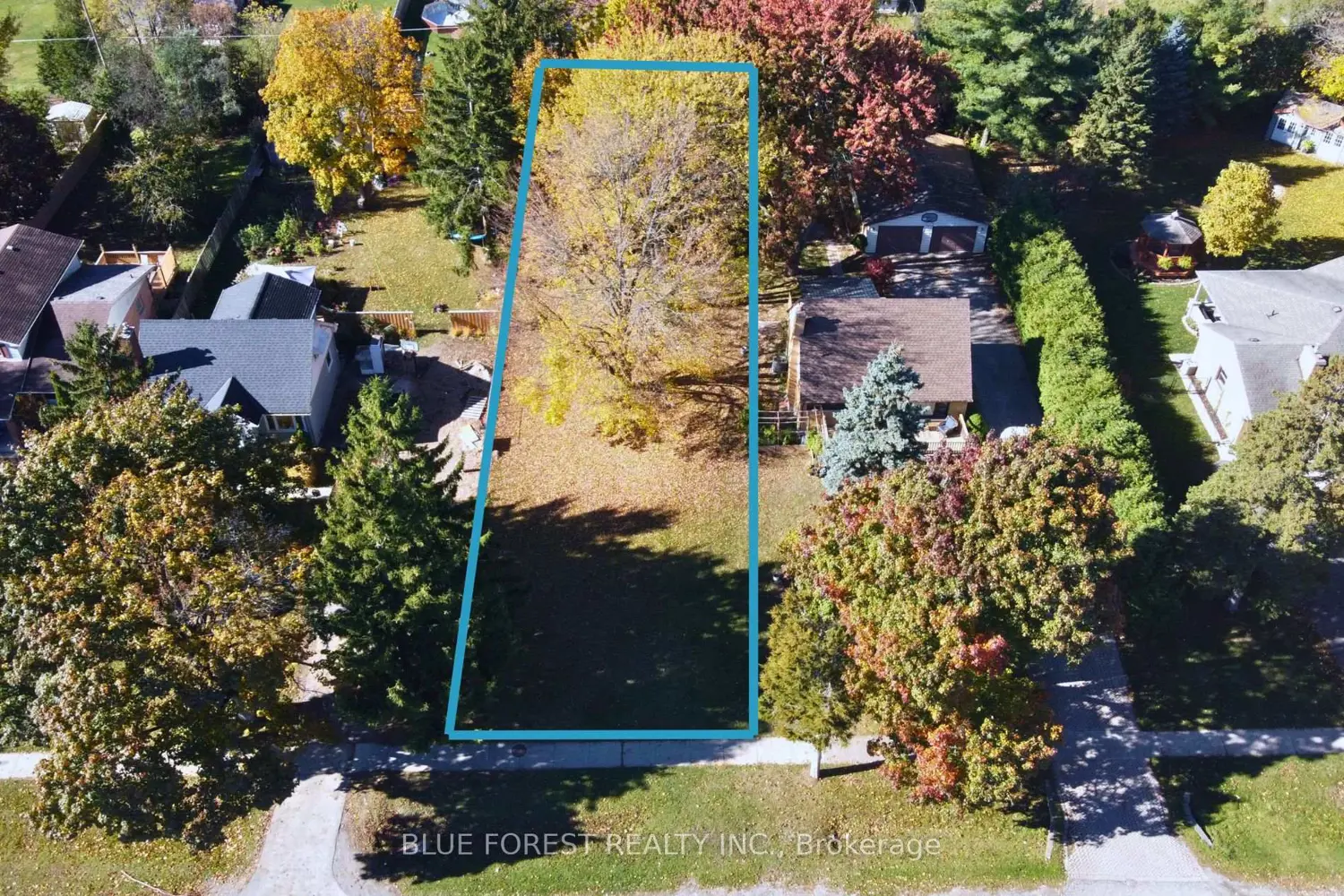 947 Dearness Drive photo 2