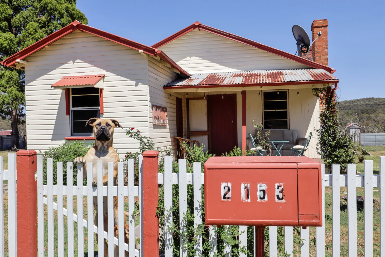 Additional image 4 of 2153 Mount Lindesay Road, Tenterfield NSW 2372