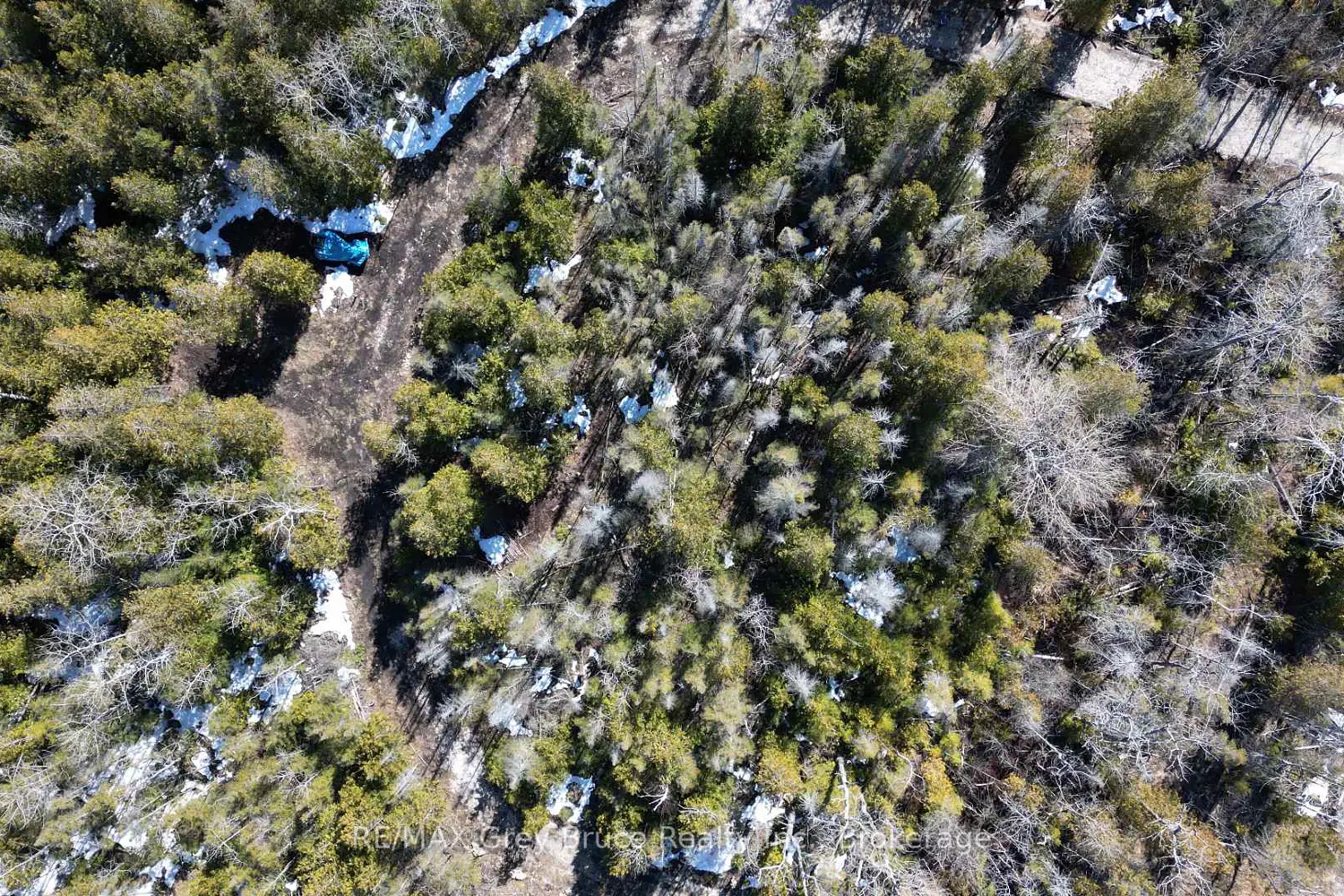 Additional image 14 of 31 Baise Avenue