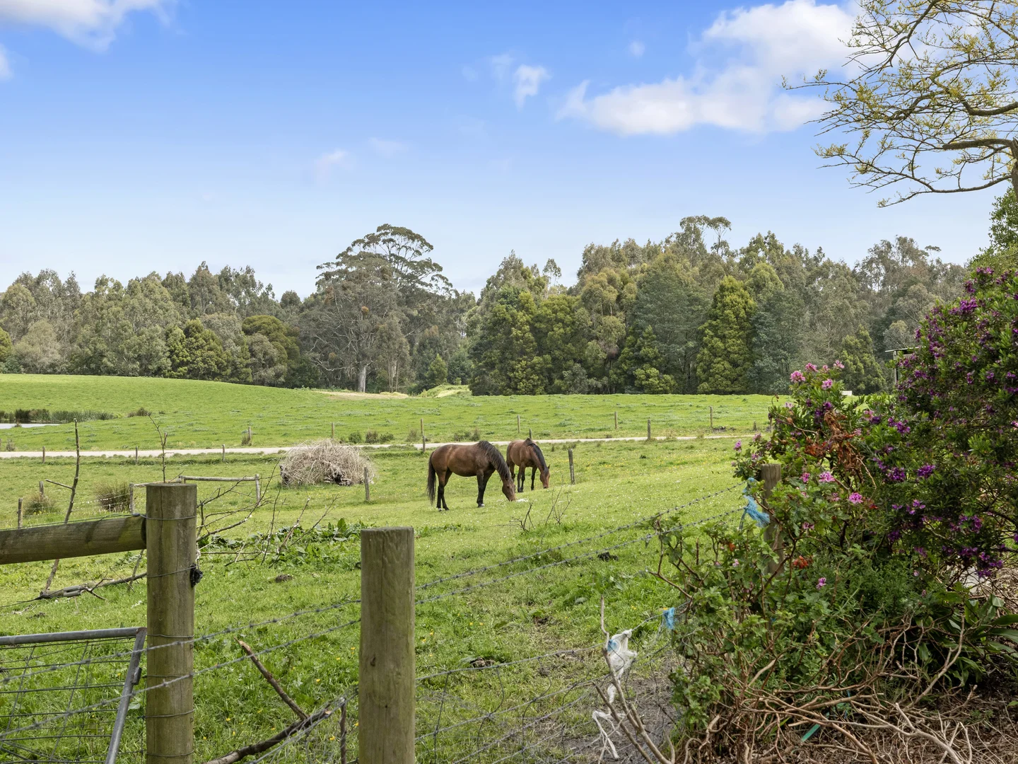 Additional image 15 of 885 Woorarra Rd, Woorarra East VIC 3962