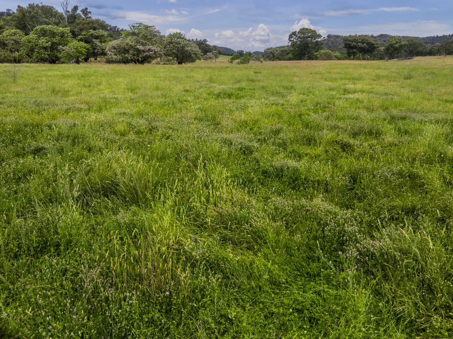 Additional image 7 of The Spring 561 Mountain Valley Road, Neurea NSW 2820