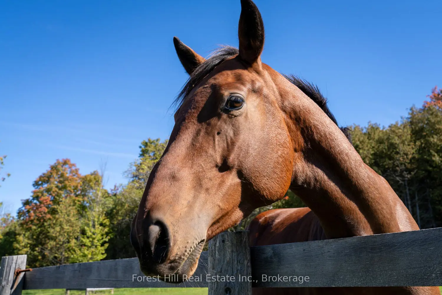 Additional image 4 of 496629 Grey Road 2