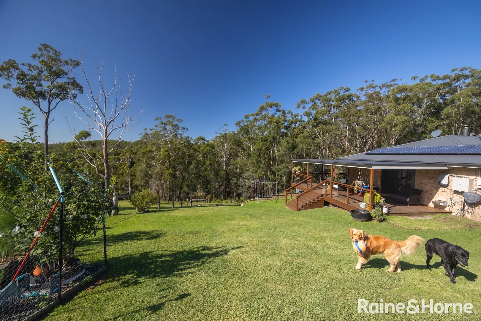 Additional image 27 of 37 Tallow Wood Road, Woodstock NSW 2538