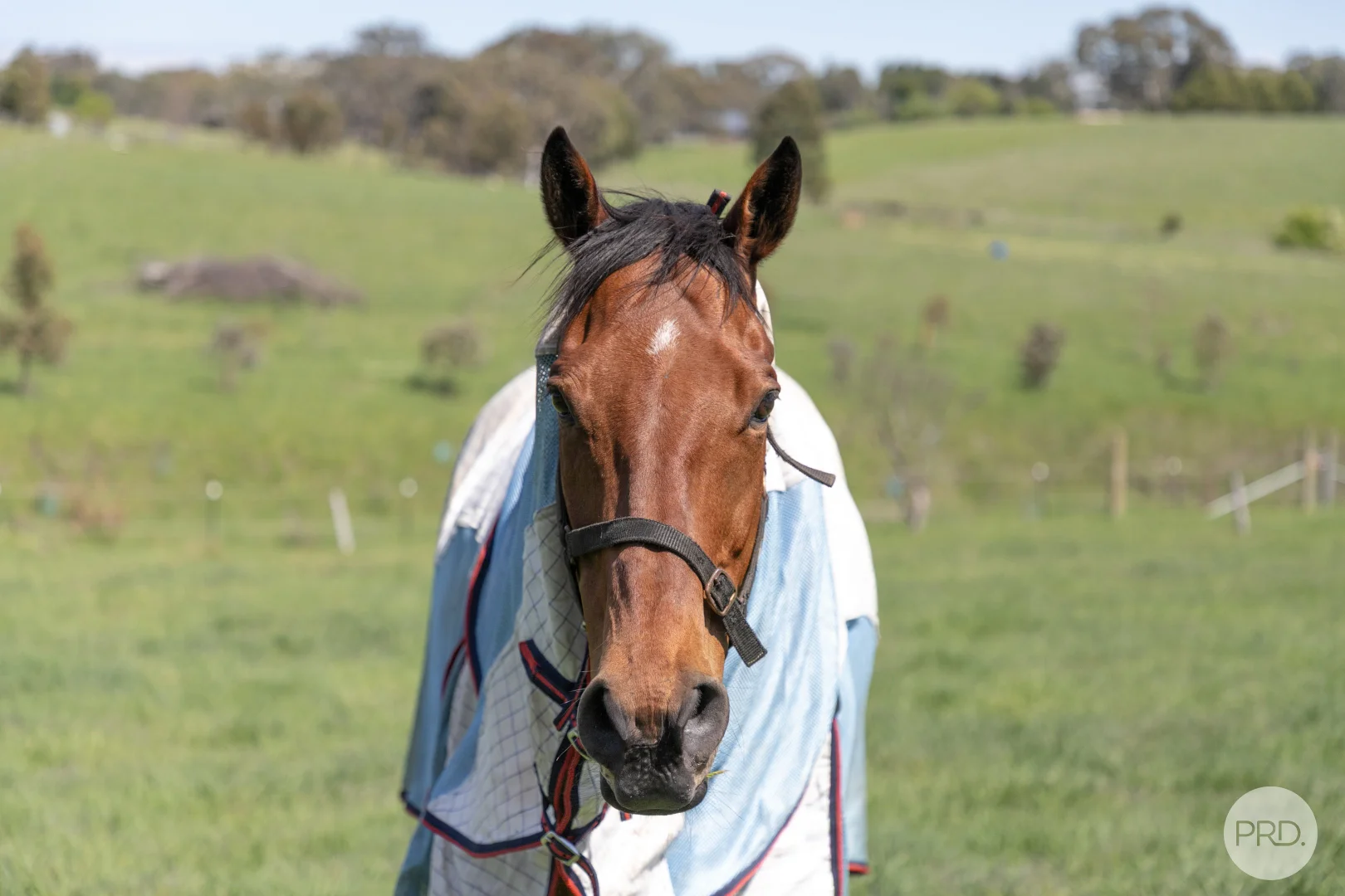 Additional image 13 of 25 Consols Court, Clunes VIC 3370