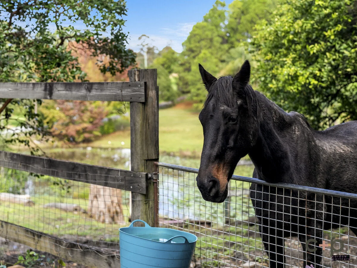 Additional image 6 of 33 Deans Road, Boambee NSW 2450