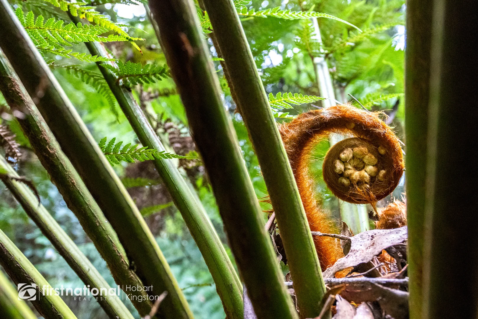 Additional image 18 of 240 Watsons Road, Kettering TAS 7155