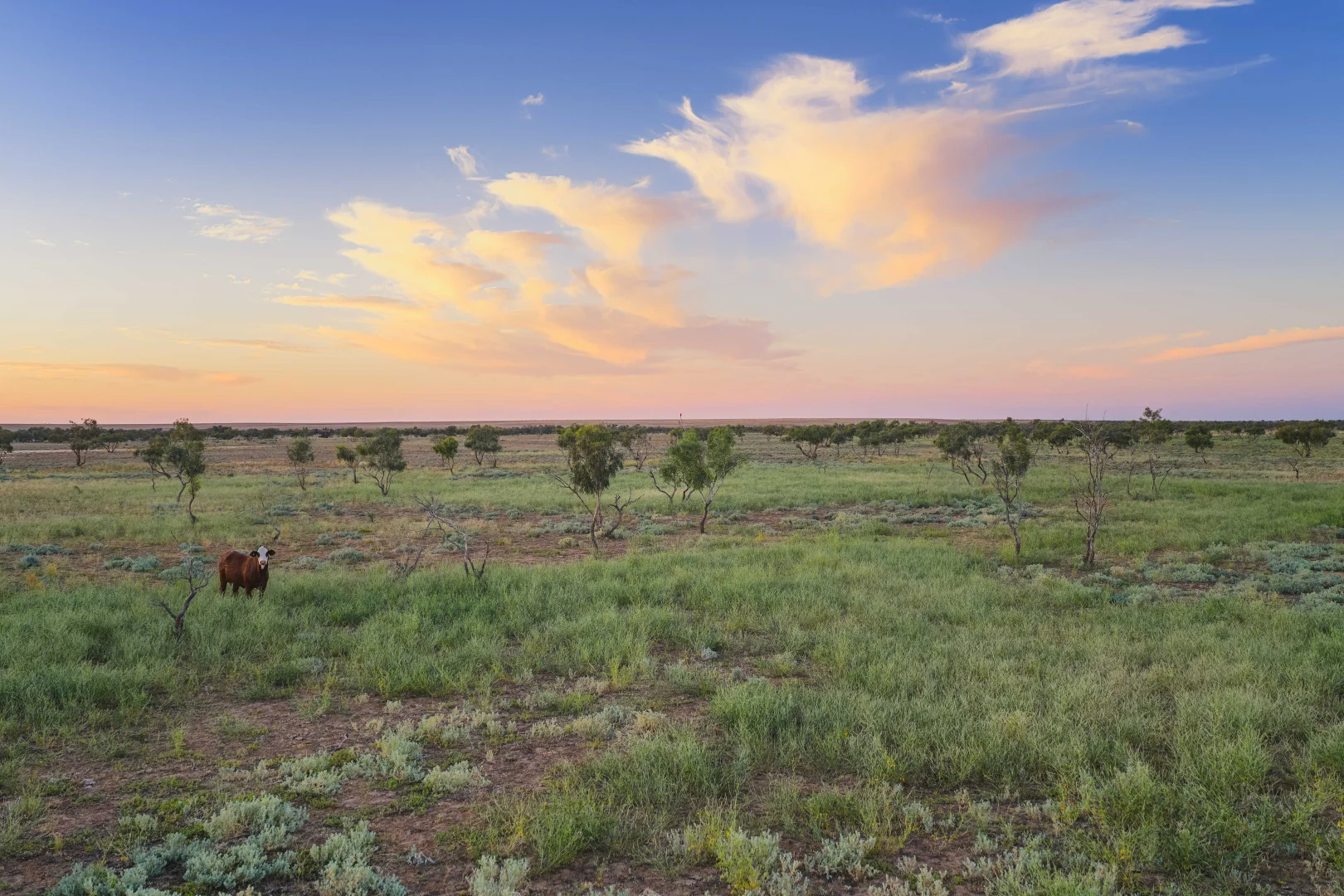 Additional image 15 of Durham QLD 4492