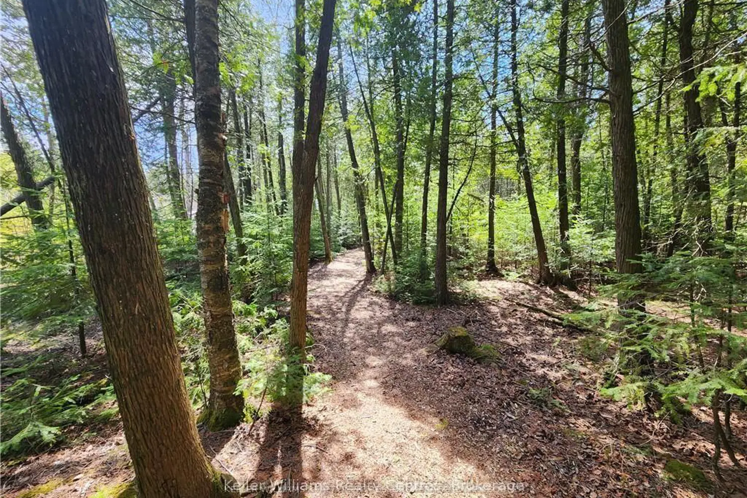 Additional image 12 of Lot 10 Trillium Crossing