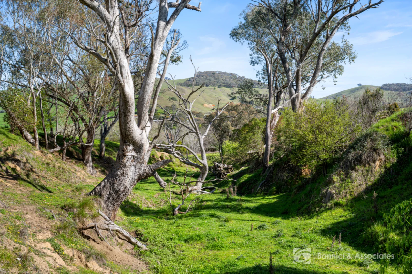 Additional image 18 of "THE OAKS" Bethanga Bay Road, Bethanga VIC 3691