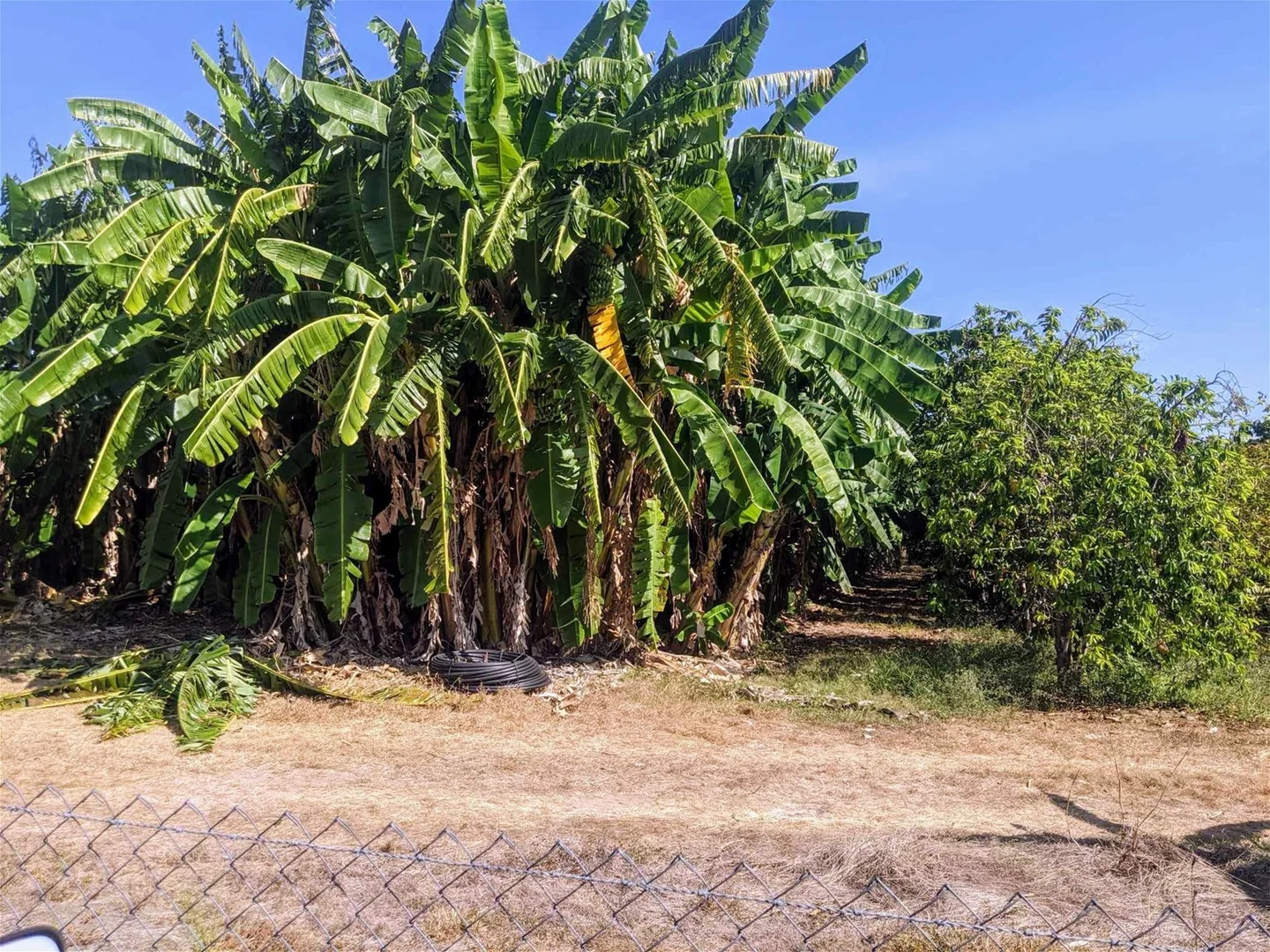Additional image 3 of 5915/2124 Arnhem Highway, Marrakai NT 0822