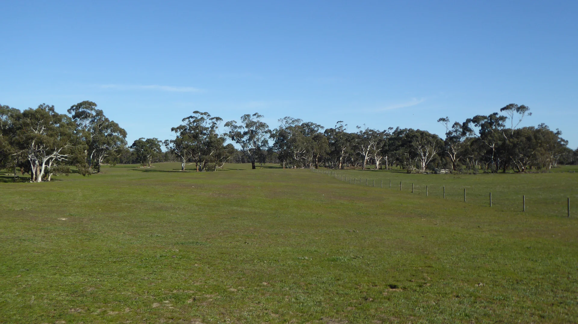 Additional image 25 of 2147 Bangham Road, Frances SA 5262