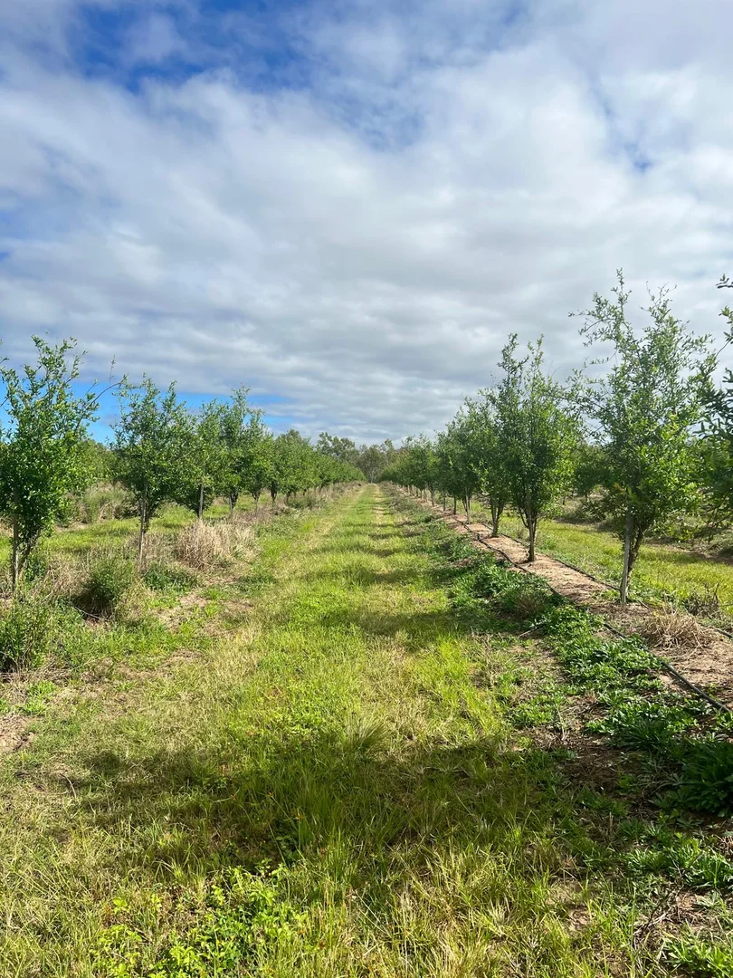 Additional image 21 of 440 Chewko Road, Mareeba QLD 4880