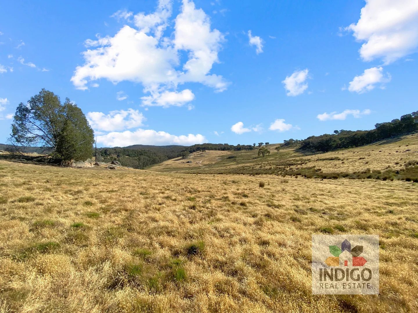 Additional image 12 of 181 Mcfeeters Road, Beechworth VIC 3747