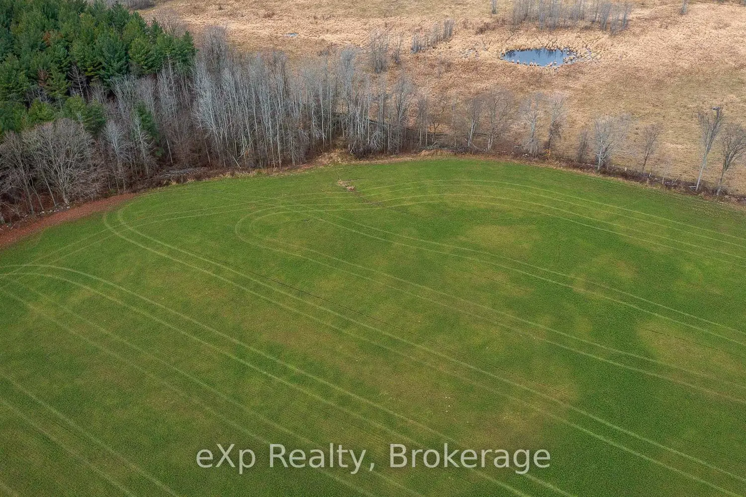 Additional image 12 of 83 C Line Road