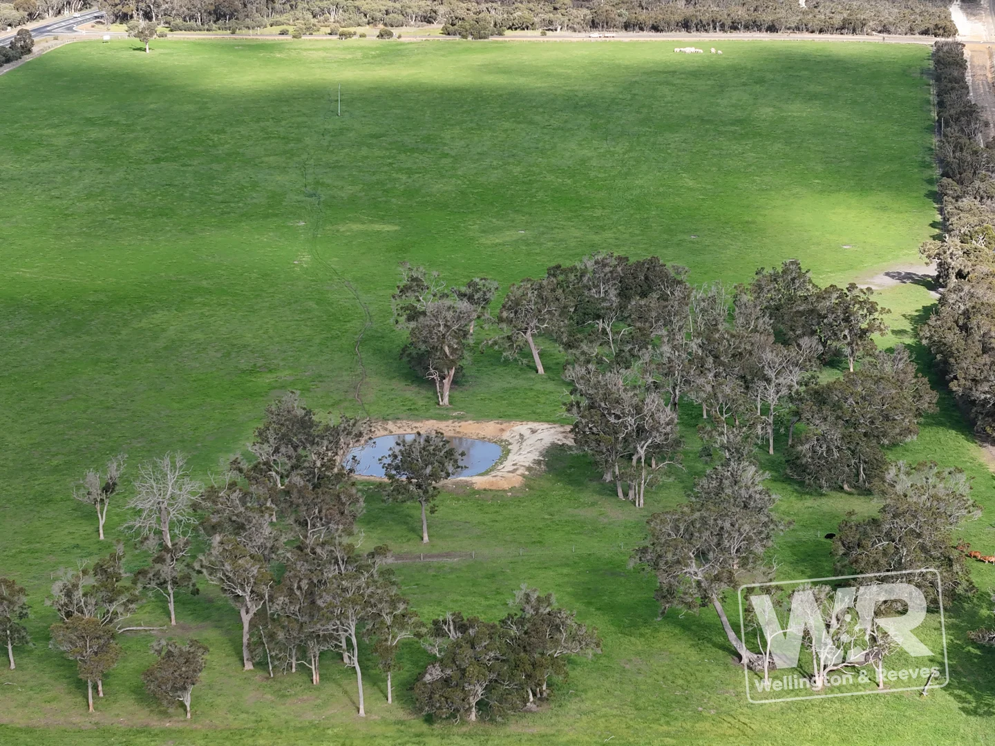 Additional image 4 of Lot 3 Albany Highway, Narrikup WA 6326