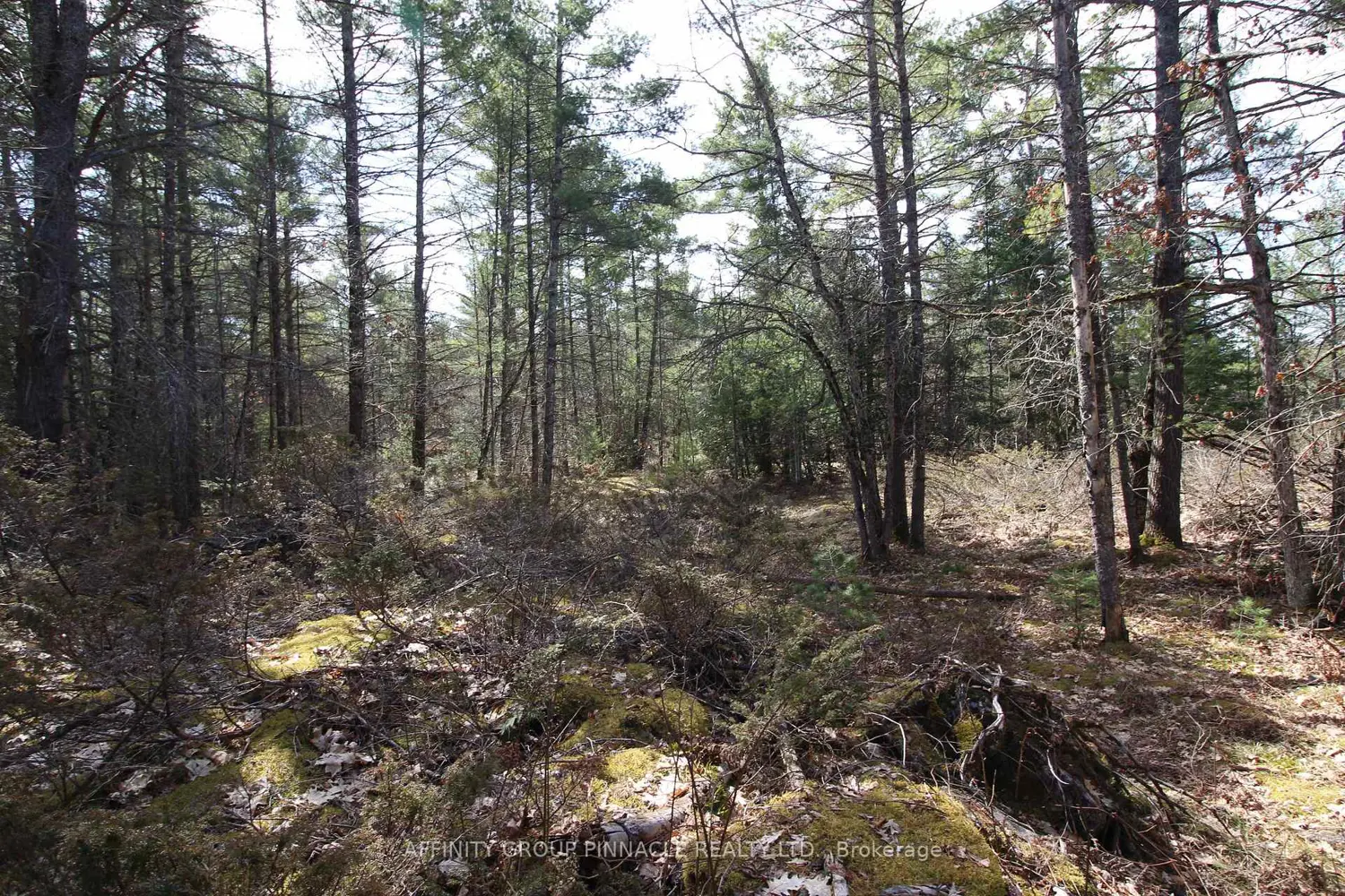 Additional image 12 of Lot 15 Concession 9