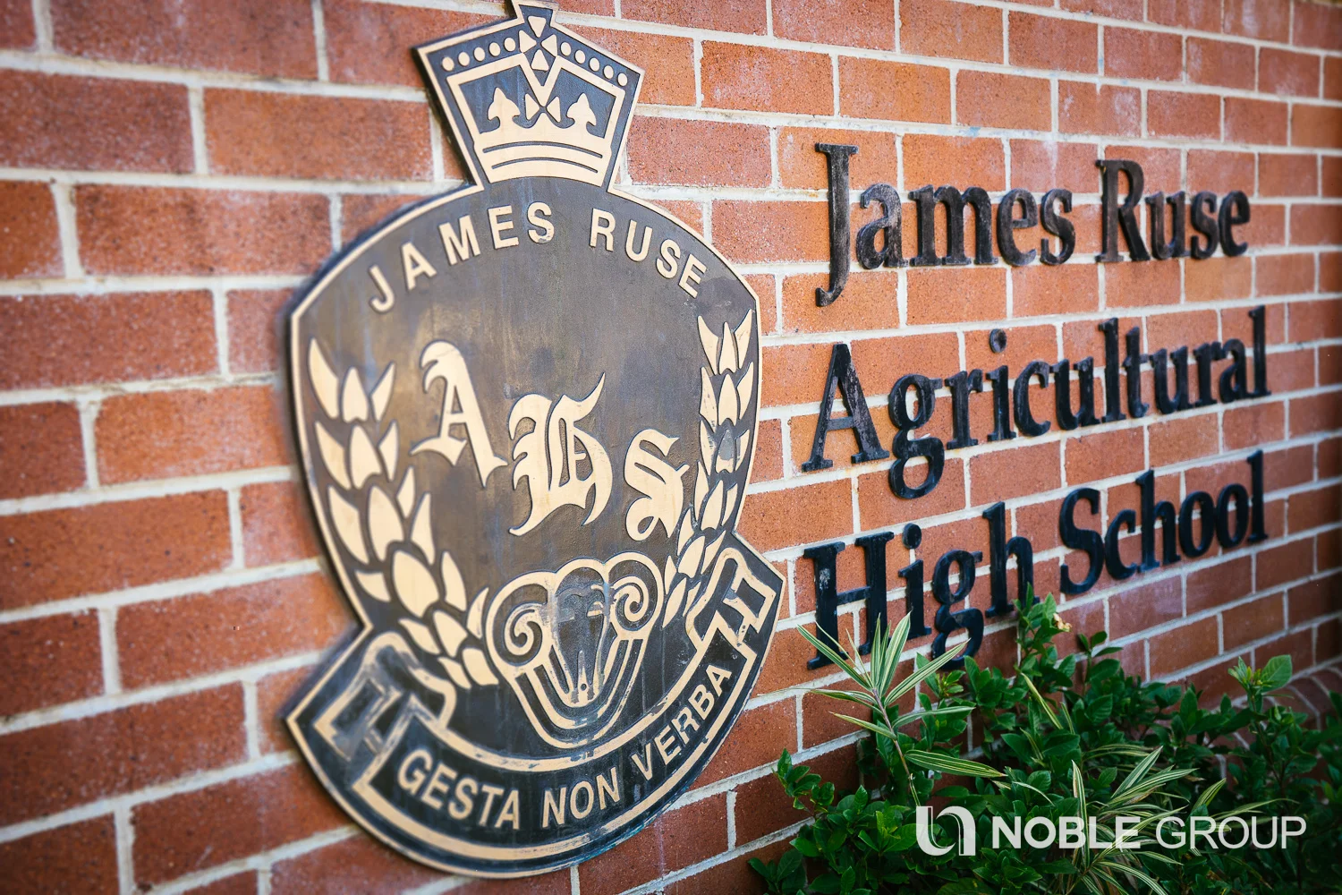 Additional image 14 of 11/181 Pennant Hills Road, Carlingford NSW 2118