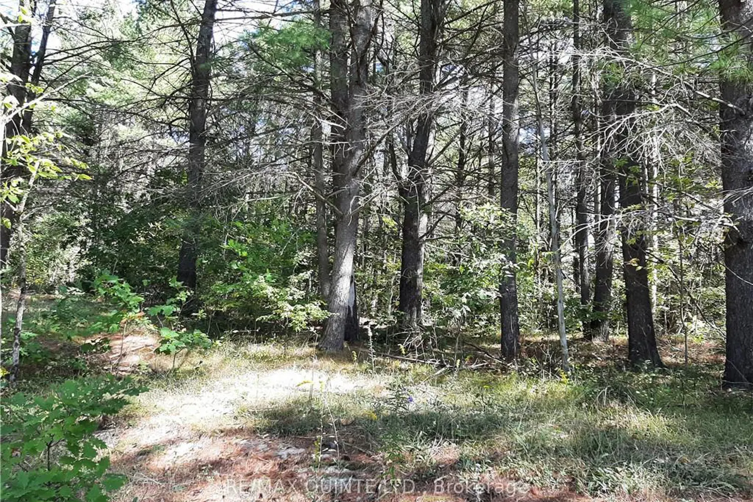 Additional image 3 of 0 Pt Lt12 Con14 Hwy 37 Road