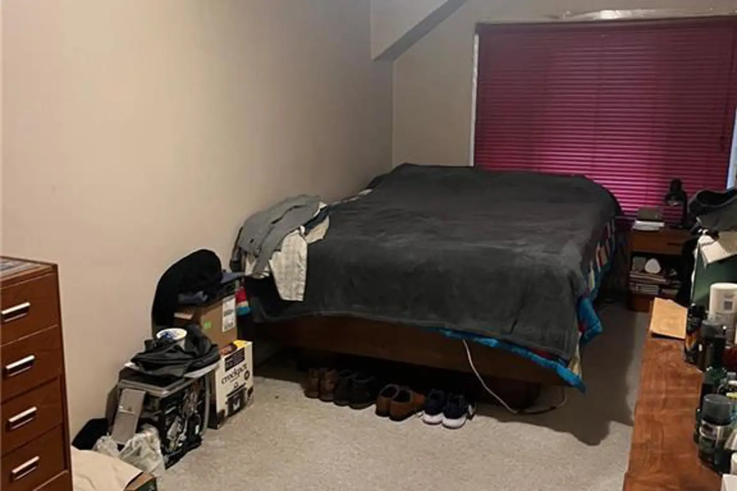 Additional image 7 of 83 Stanley Street