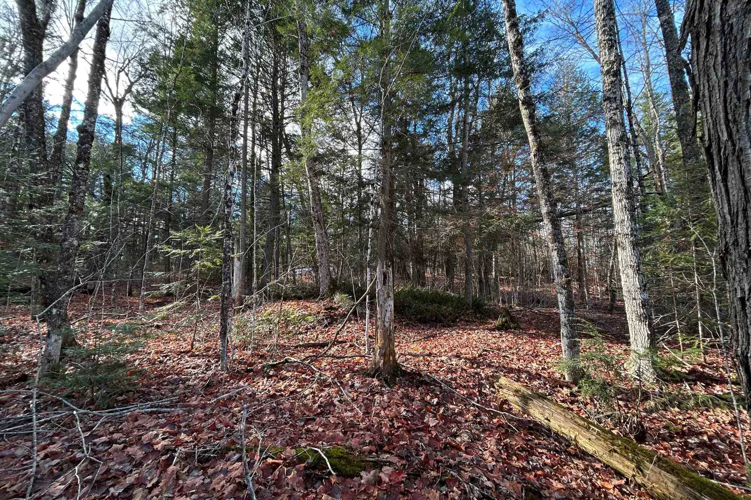 Additional image 4 of 0 Mill Lake Road