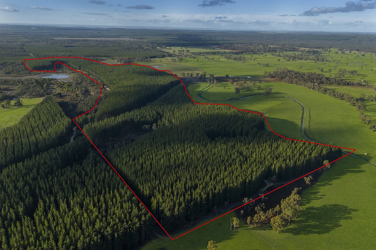 Additional image 14 of 125 Moonlight Road, Killara VIC 3312