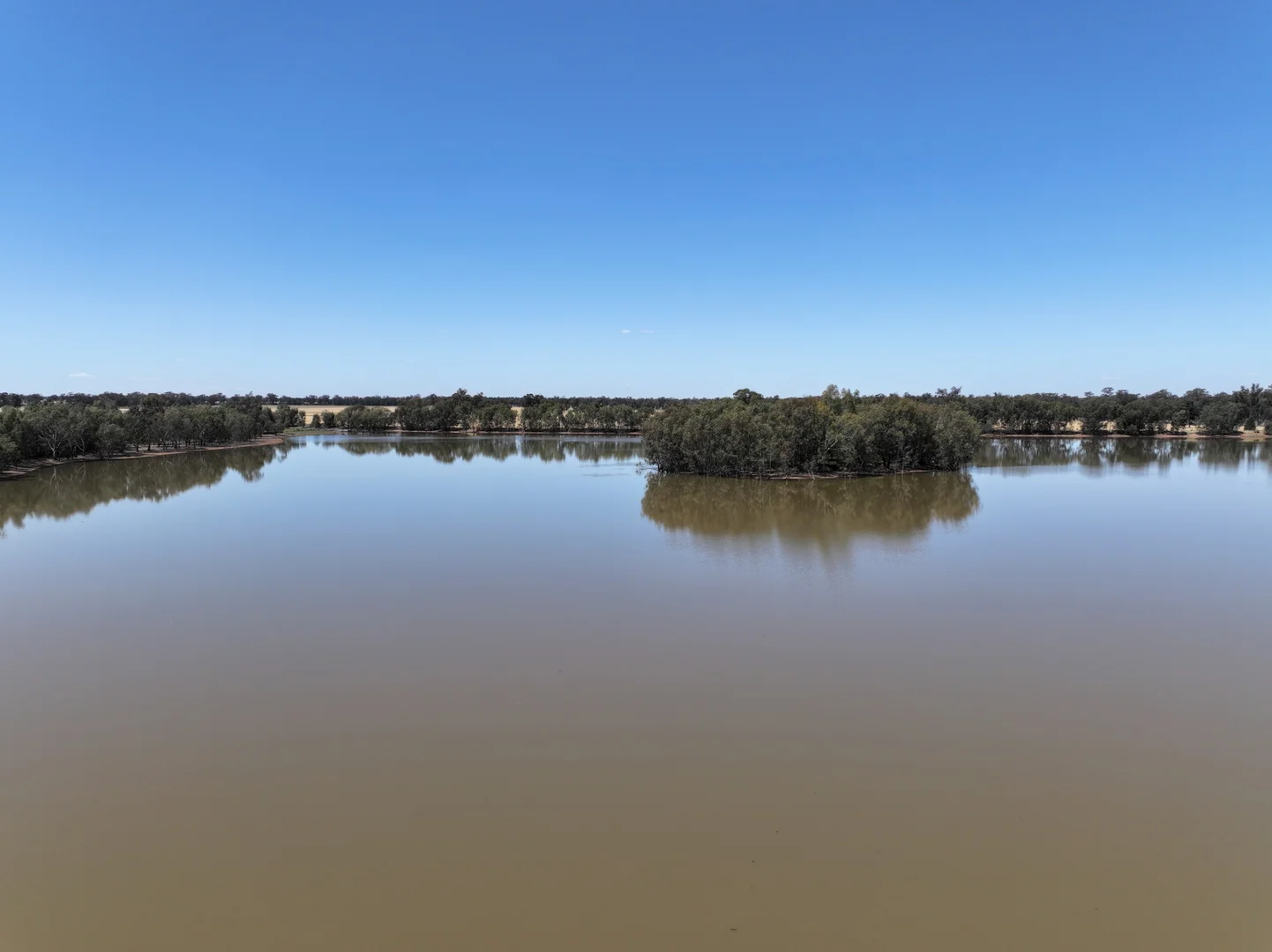 Additional image 7 of 'Part Greendale' Mandamah Forest Road, Ariah Park NSW 2665