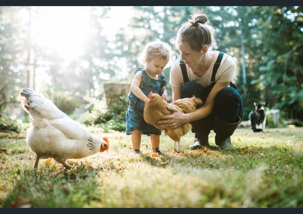 Additional image 9 of 12 Ambrosia Estate Avenue, Kyneton VIC 3444