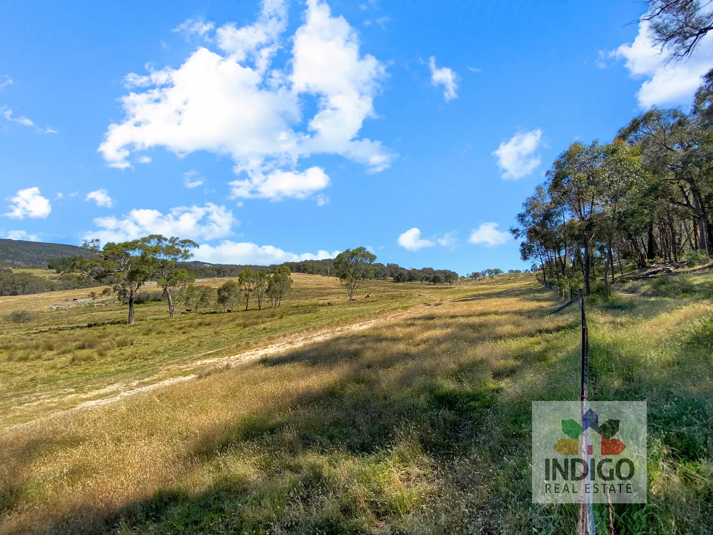 Additional image 3 of 181 Mcfeeters Road, Beechworth VIC 3747