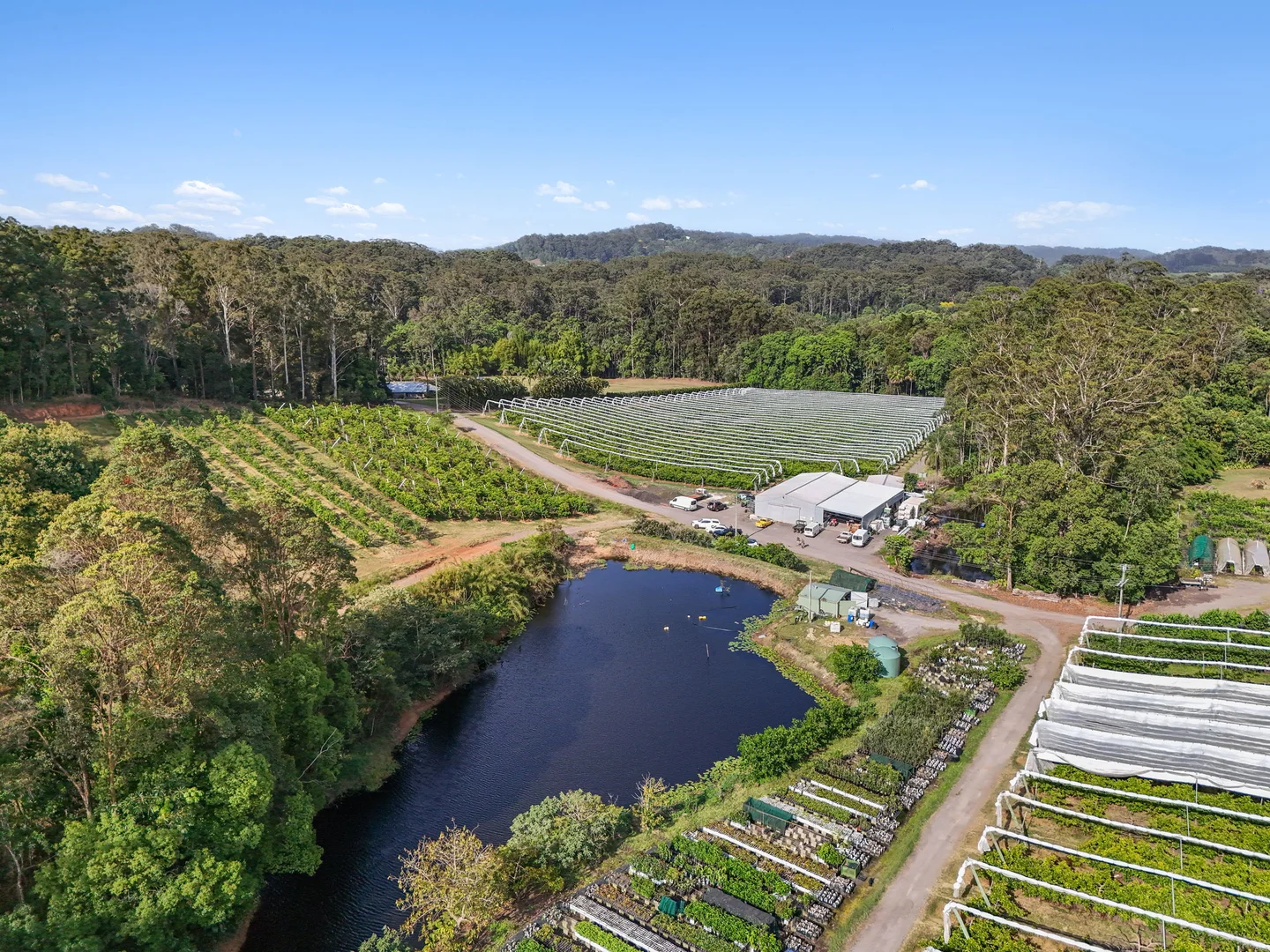 Additional image 4 of 43 Pringle Road, Rosemount QLD 4560