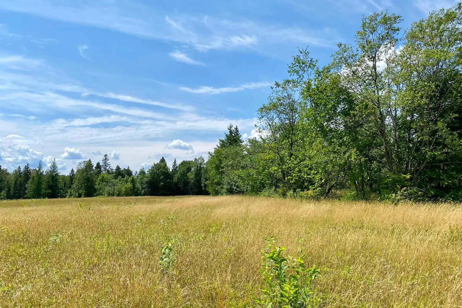 Additional image 4 of Lot 6-B 522 Highway