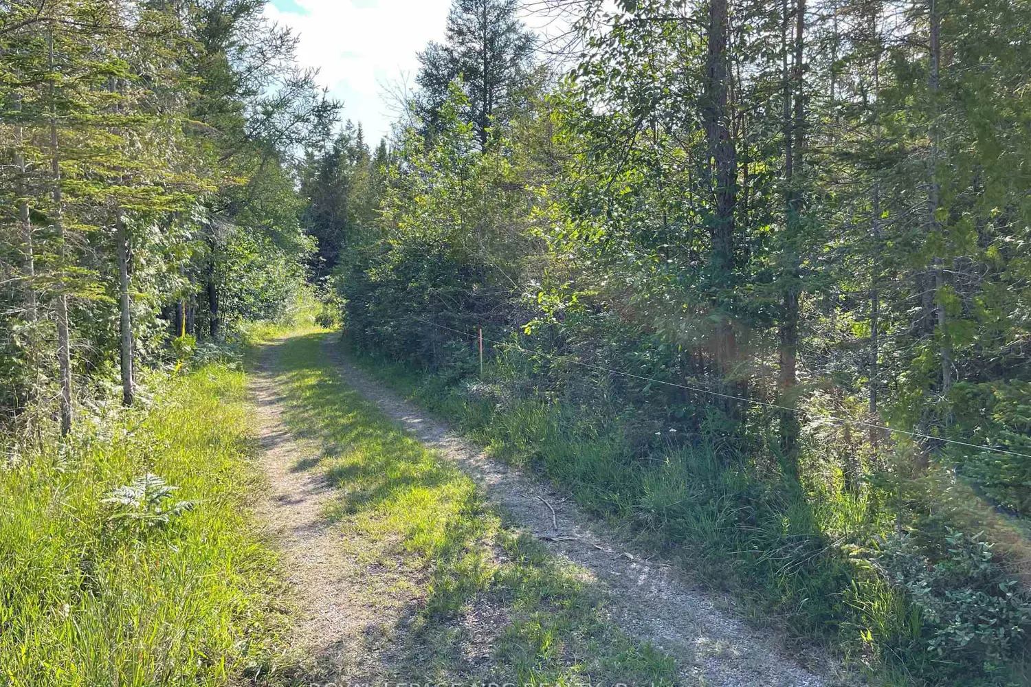 Additional image 6 of 25 Simpson Avenue