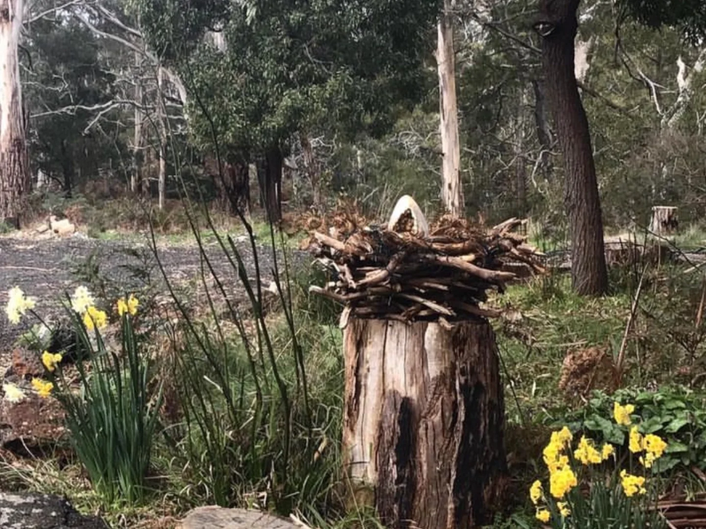 Additional image 12 of Carpendeit VIC 3260