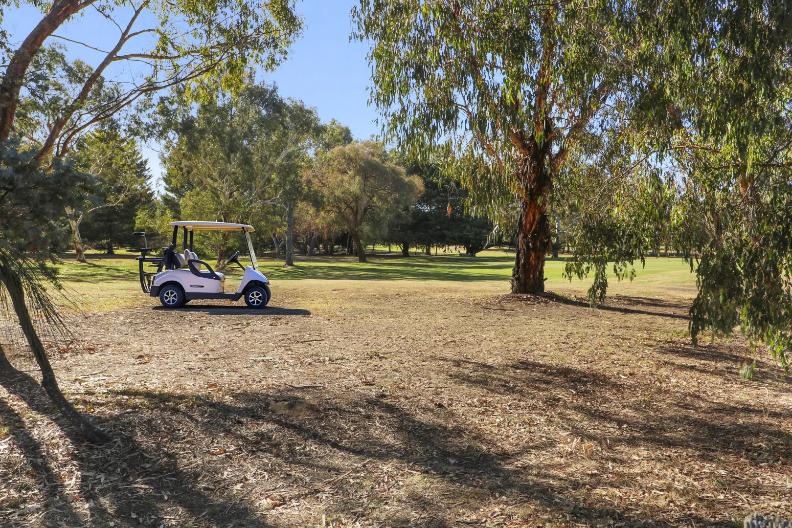 Additional image 4 of 109 Malcolm Street, Mansfield VIC 3722