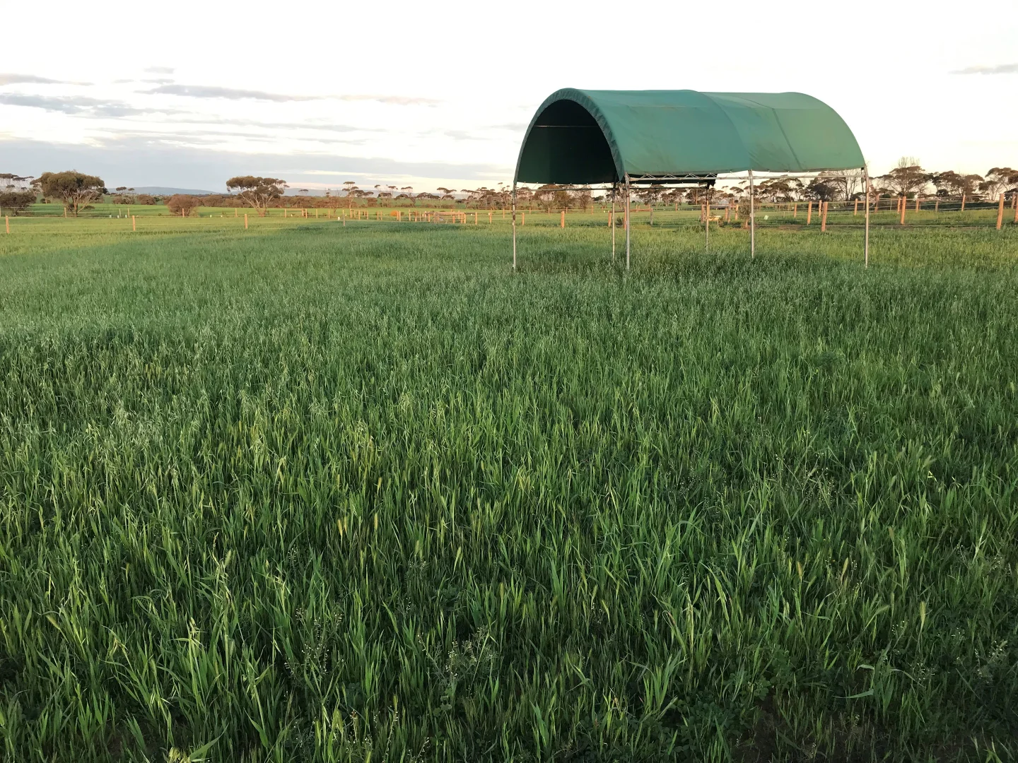 Additional image 25 of 195 Upper Yorke Road, Port Broughton SA 5522