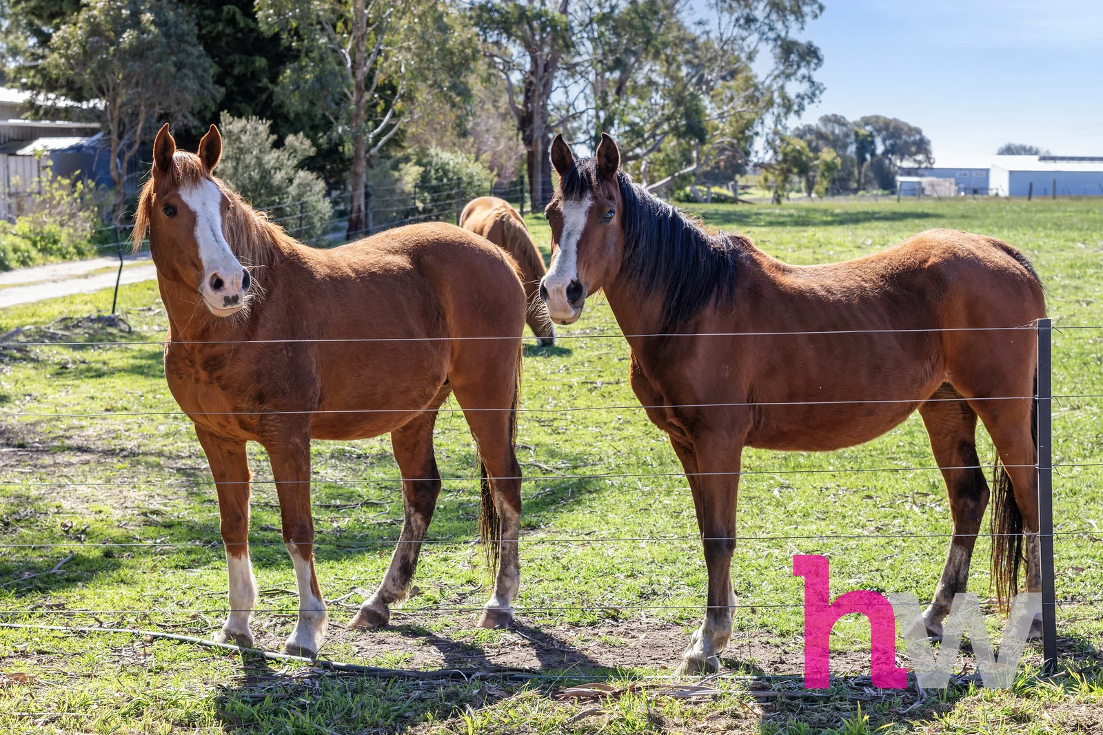 Additional image 20 of 20 Morgans Road, Winchelsea South VIC 3241