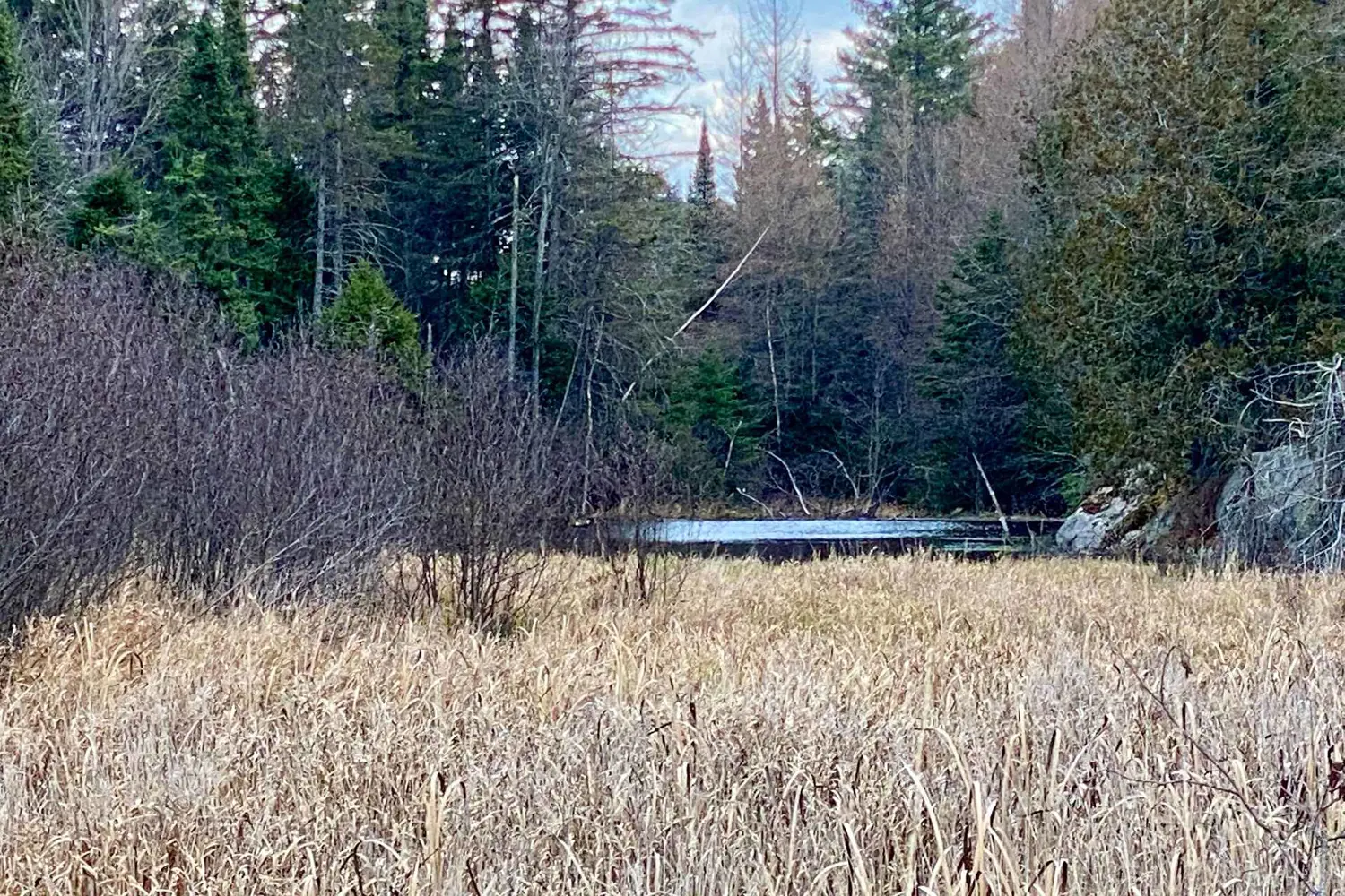Additional image 2 of Lot 0-B Legrou's Lake Road