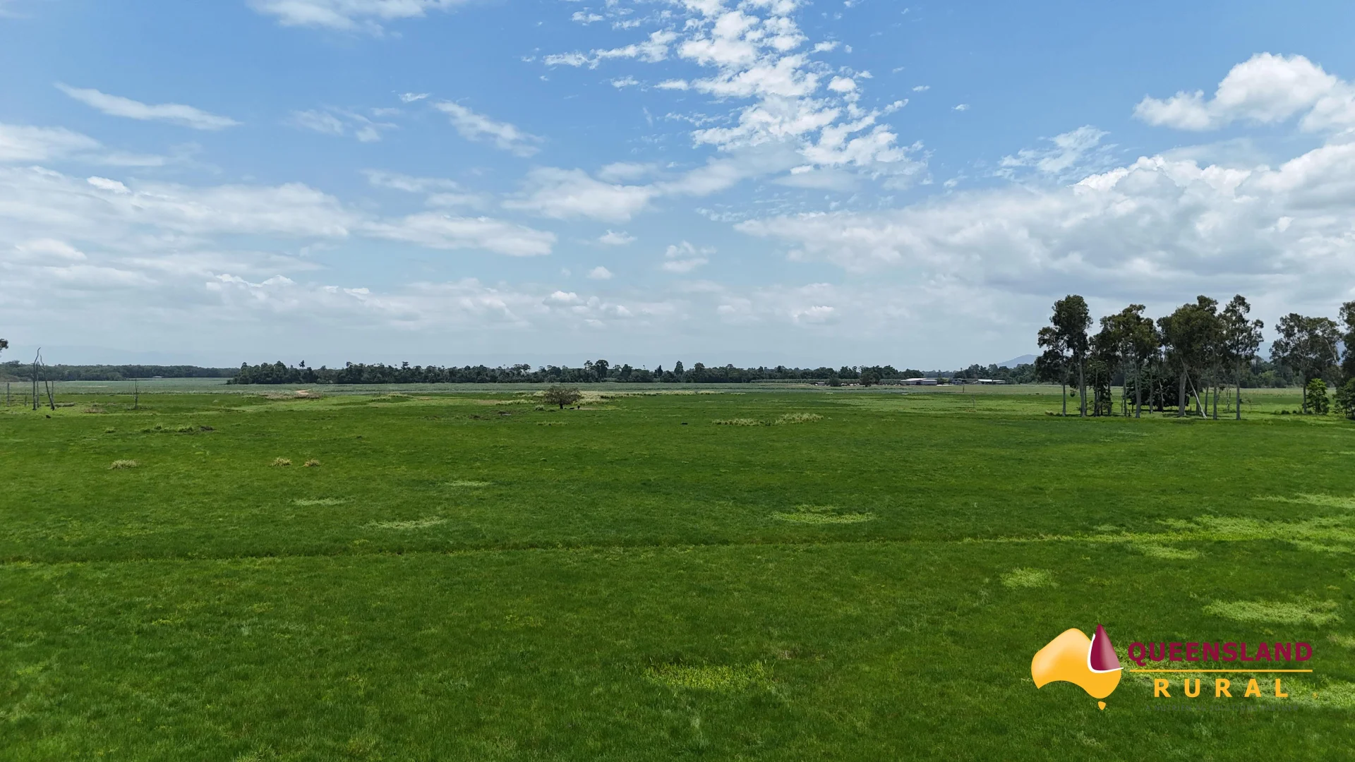 Additional image 8 of Euramo QLD 4854