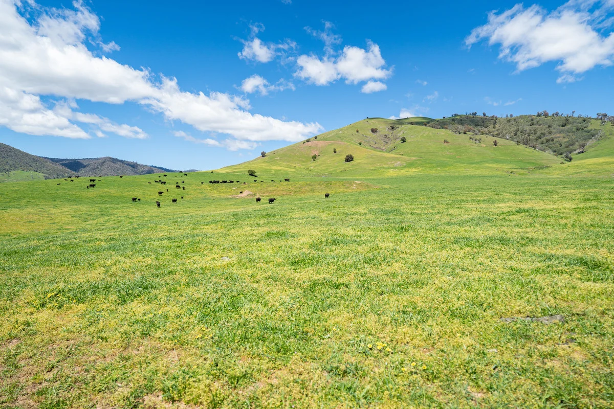 Additional image 5 of 3465 Murray Valley Highway, Berringama VIC 3691