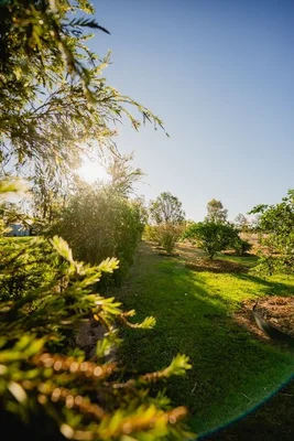 Additional image 23 of 446 Bassett Lane, Roma QLD 4455