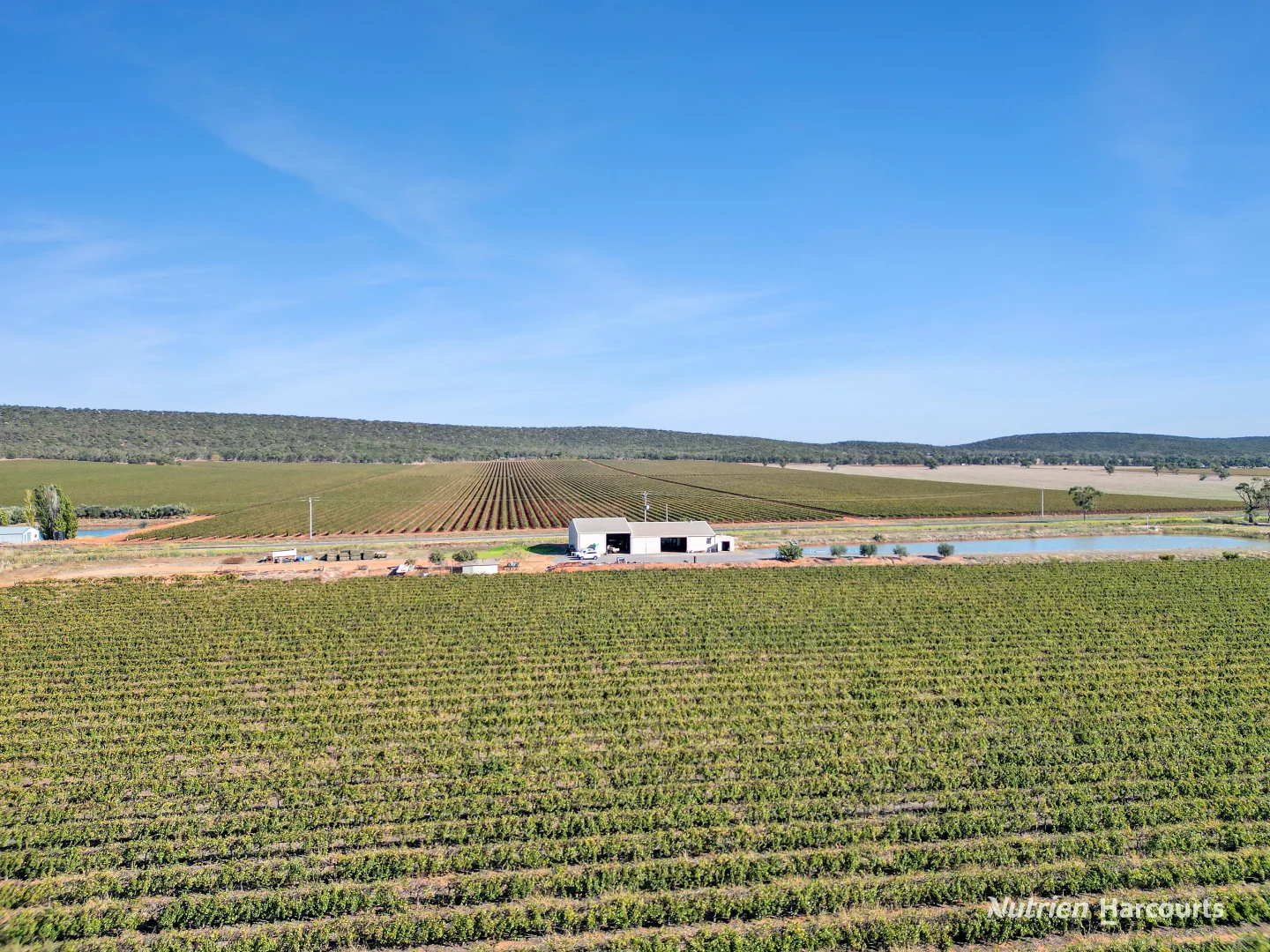 Additional image 11 of 1631 Rankins Springs Road, Myall Park NSW 2681