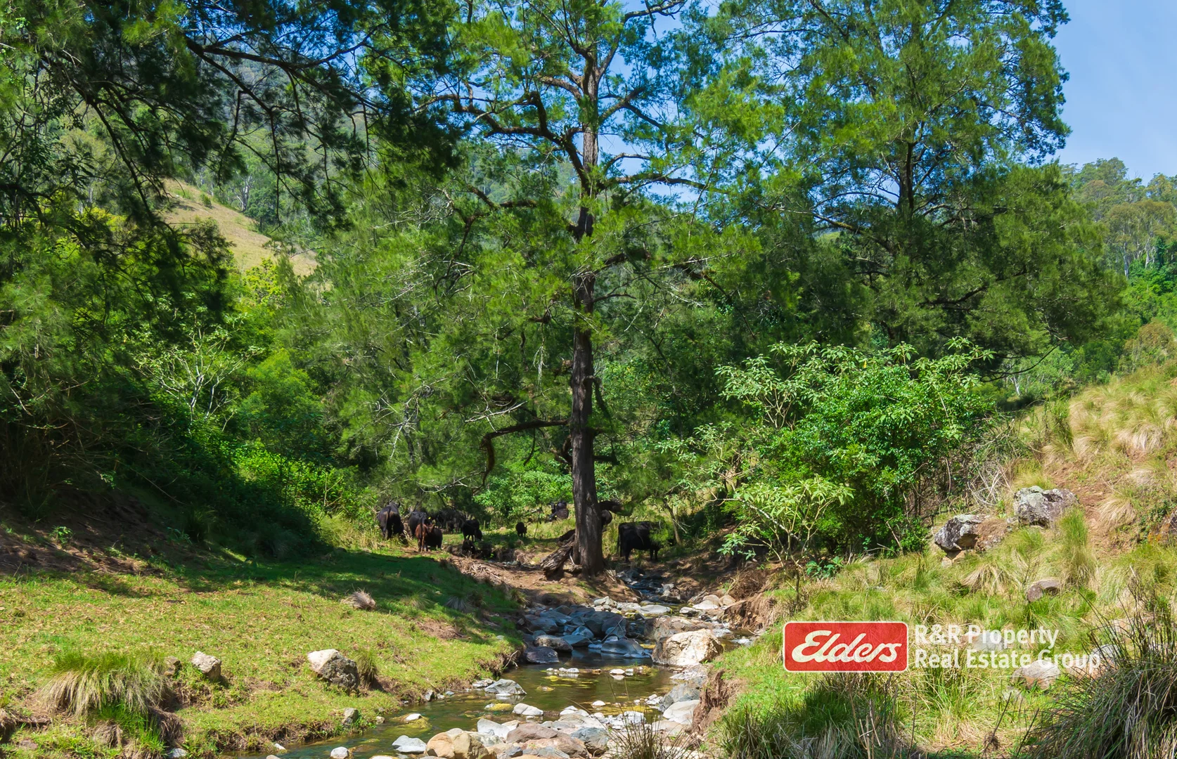 Additional image 33 of 2241 Curricabark Road, Dewitt NSW 2422