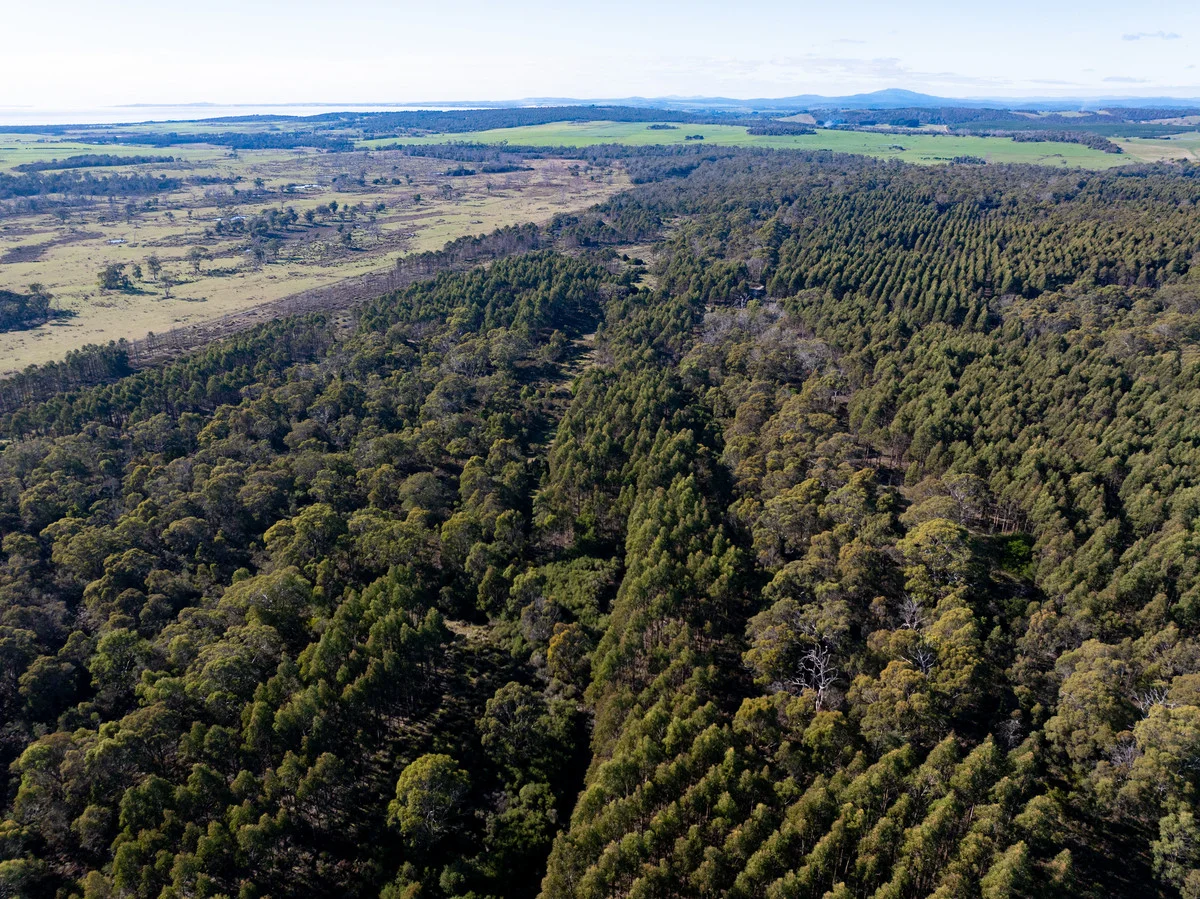 Additional image 3 of 'Hall' Saltwood Road, Bridport TAS 7262