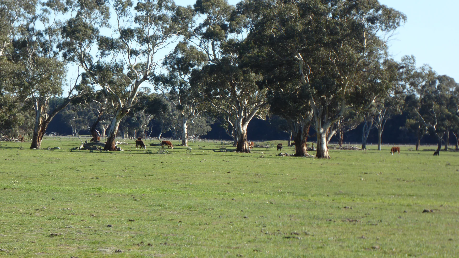 Additional image 14 of 2147 Bangham Road, Frances SA 5262