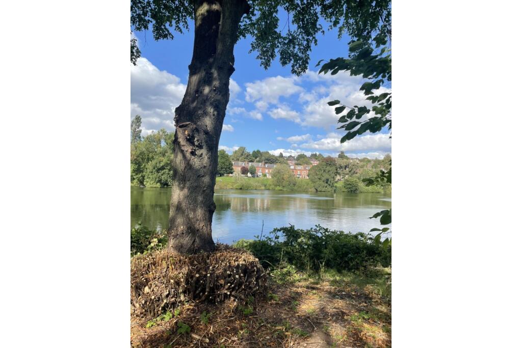 Additional image 29 of George Road, Birmingham, B23