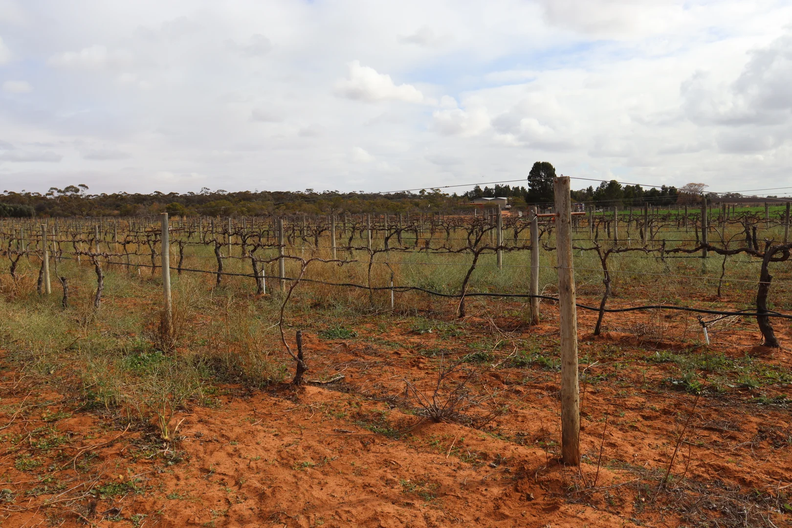 Additional image 23 of 334 Katarapko Crescent, Winkie SA 5343