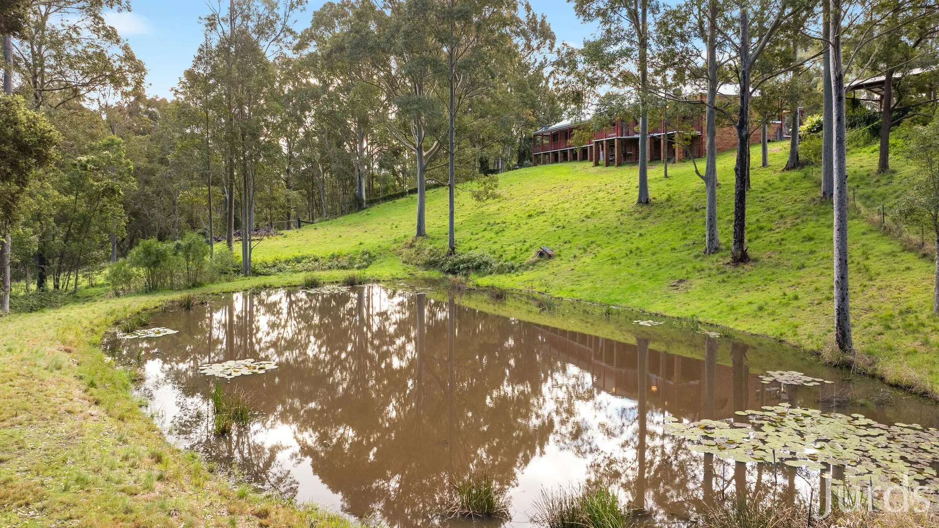 Additional image 32 of 131 Rodney Road, Mount Vincent NSW 2323