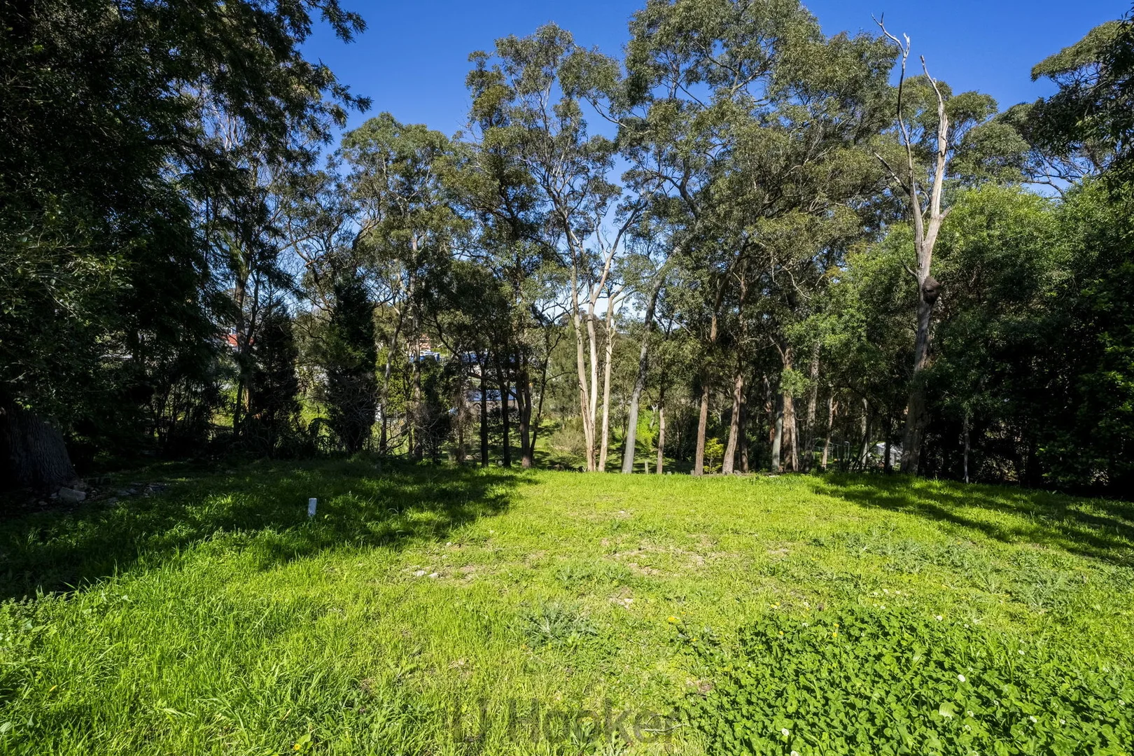 Additional image 5 of 88a Bayview Street, Warners Bay NSW 2282
