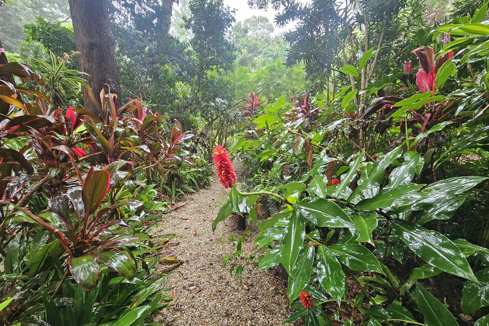 Additional image 50 of 30 Tanglewood Drive, Tanglewood NSW 2488