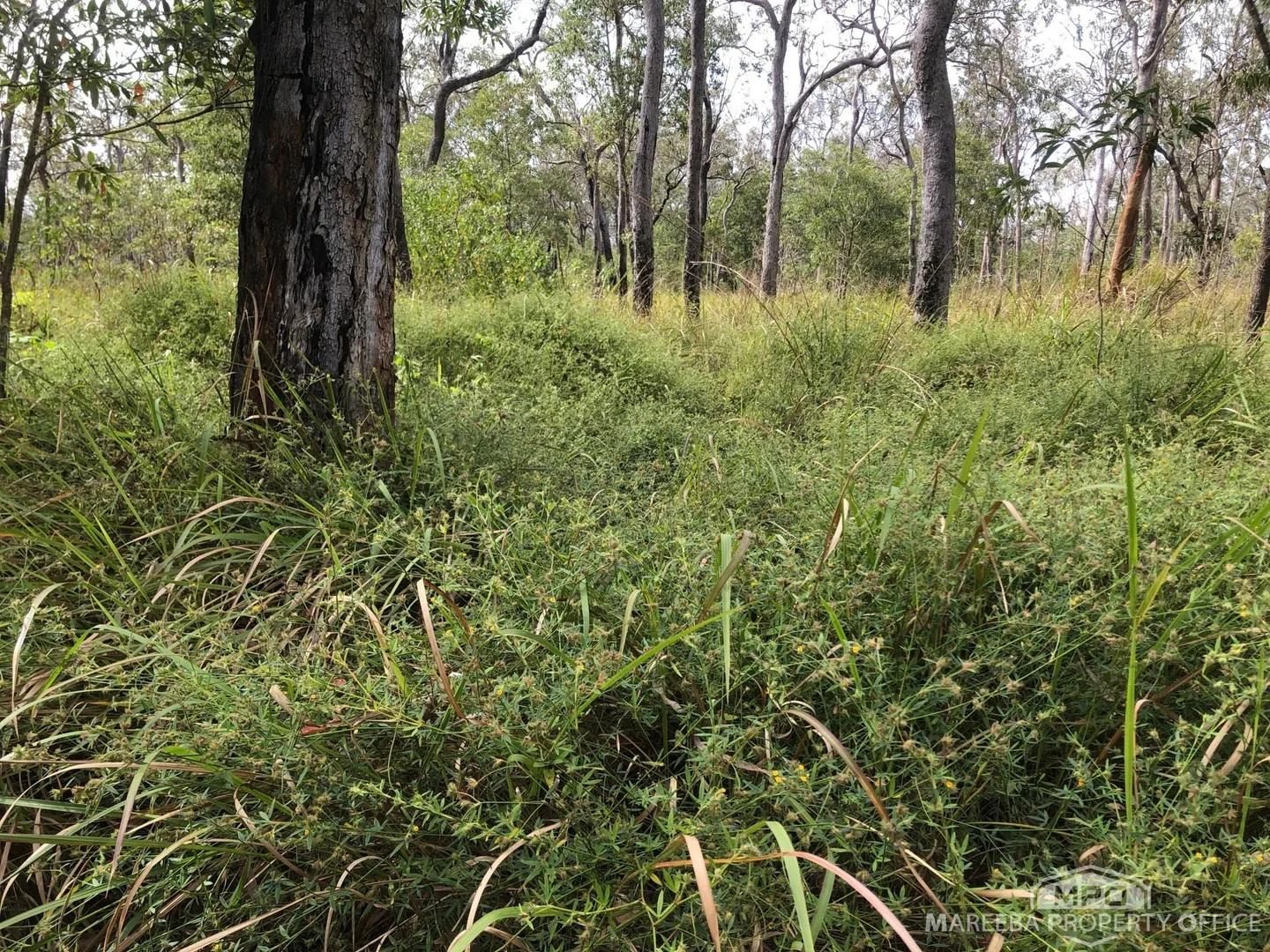 Lot 154 / 764 Hodzic Road, Biboohra QLD 4880