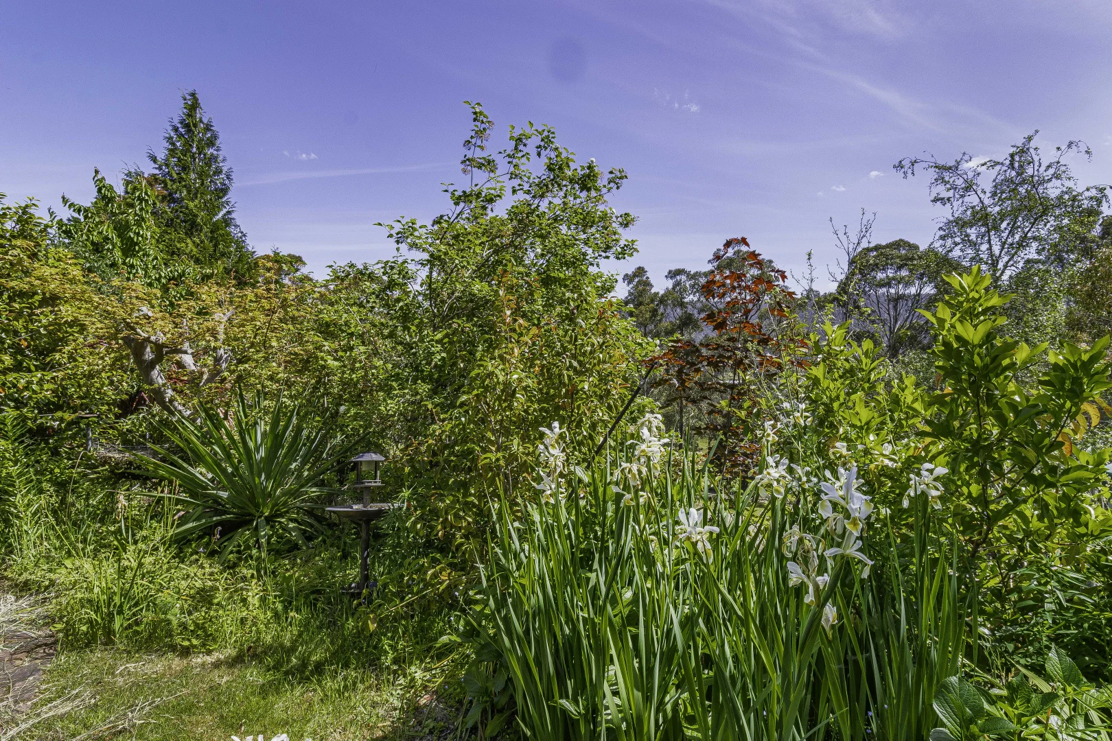 Additional image 18 of 242 Woolleys Road, Lonnavale TAS 7109